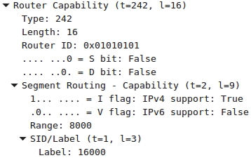 SR-capabilty-capture